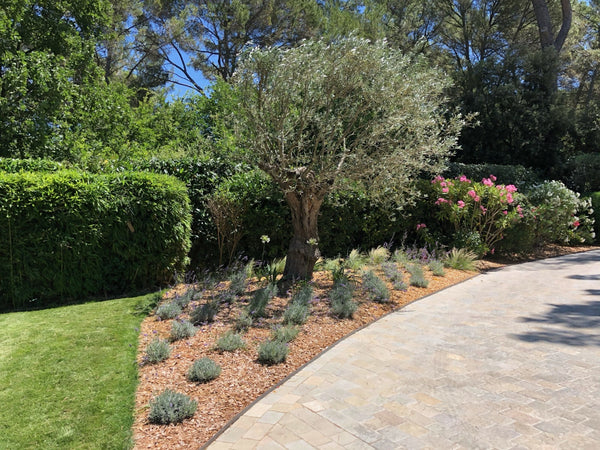 ENTRETIEN DE JARDINS