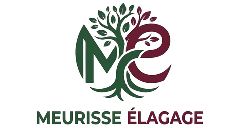 MEURISSE ELAGAGE